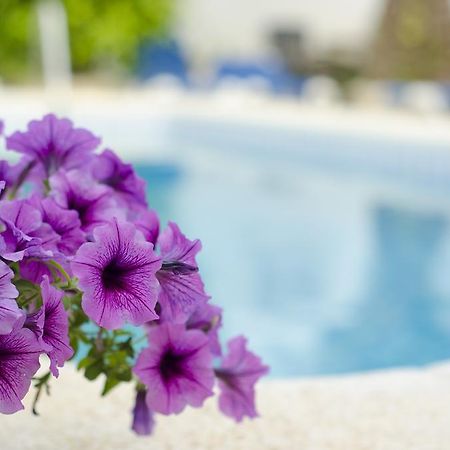 La Crisalida Retreats Appartamento El Albir Esterno foto