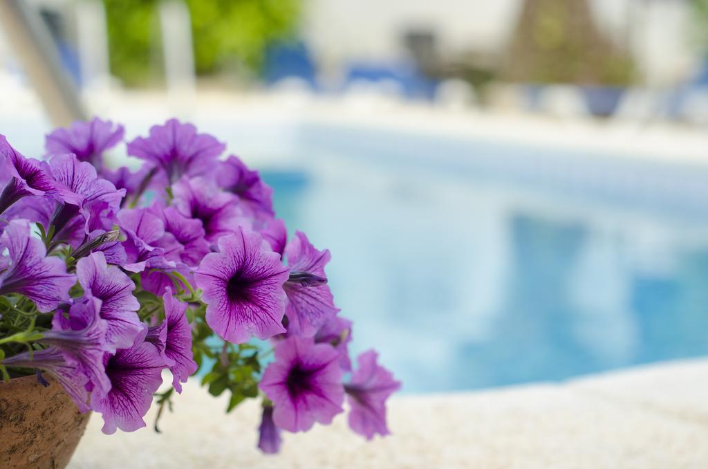 La Crisalida Retreats Appartamento El Albir Esterno foto